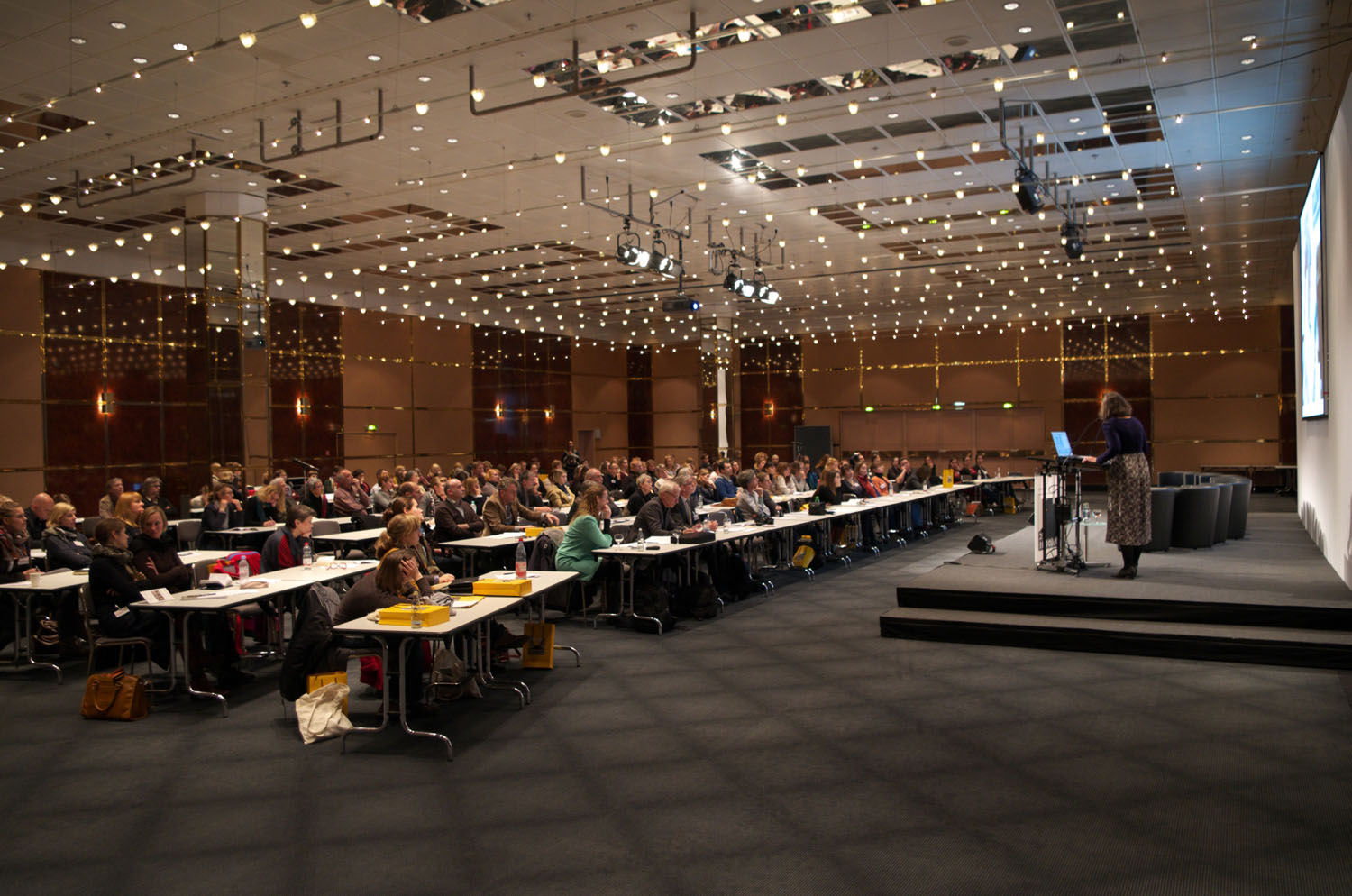 Der VDR auf der Exponatec 2013 während des Vortrags von Mechthild Noll-Minor. Foto: Meyer-Doberenz