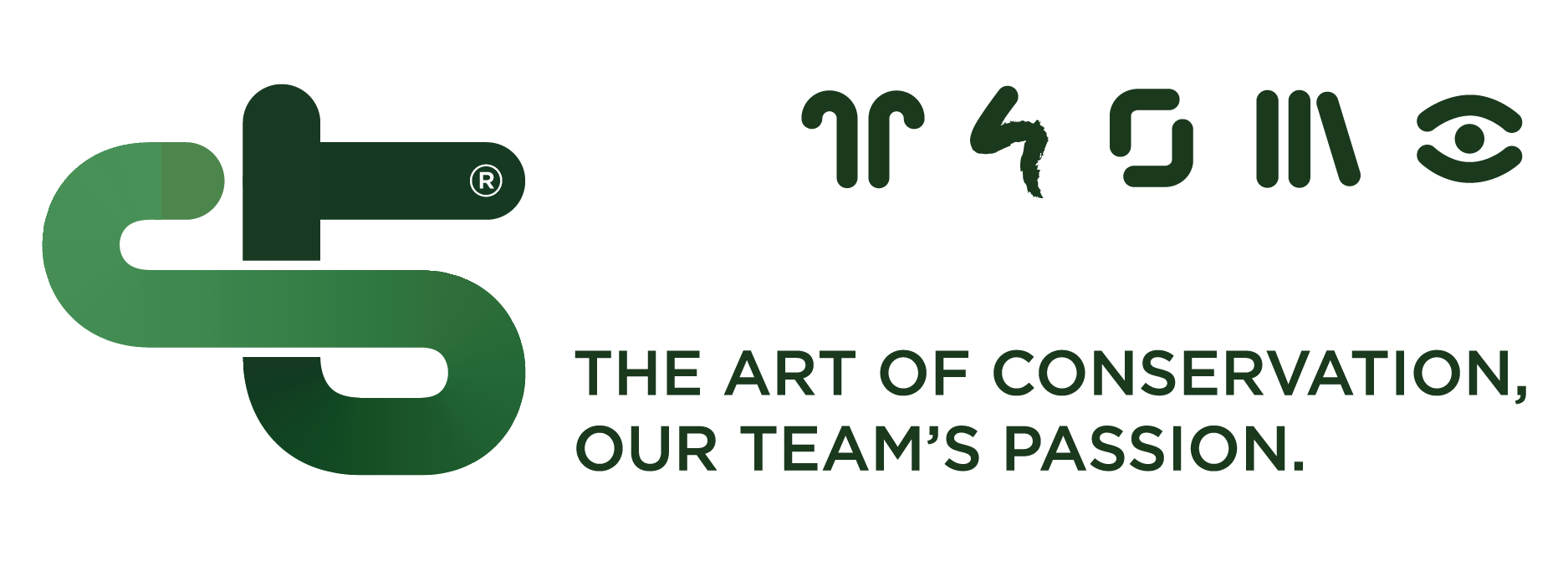 LOGO CTS 2025 VDR 450 px