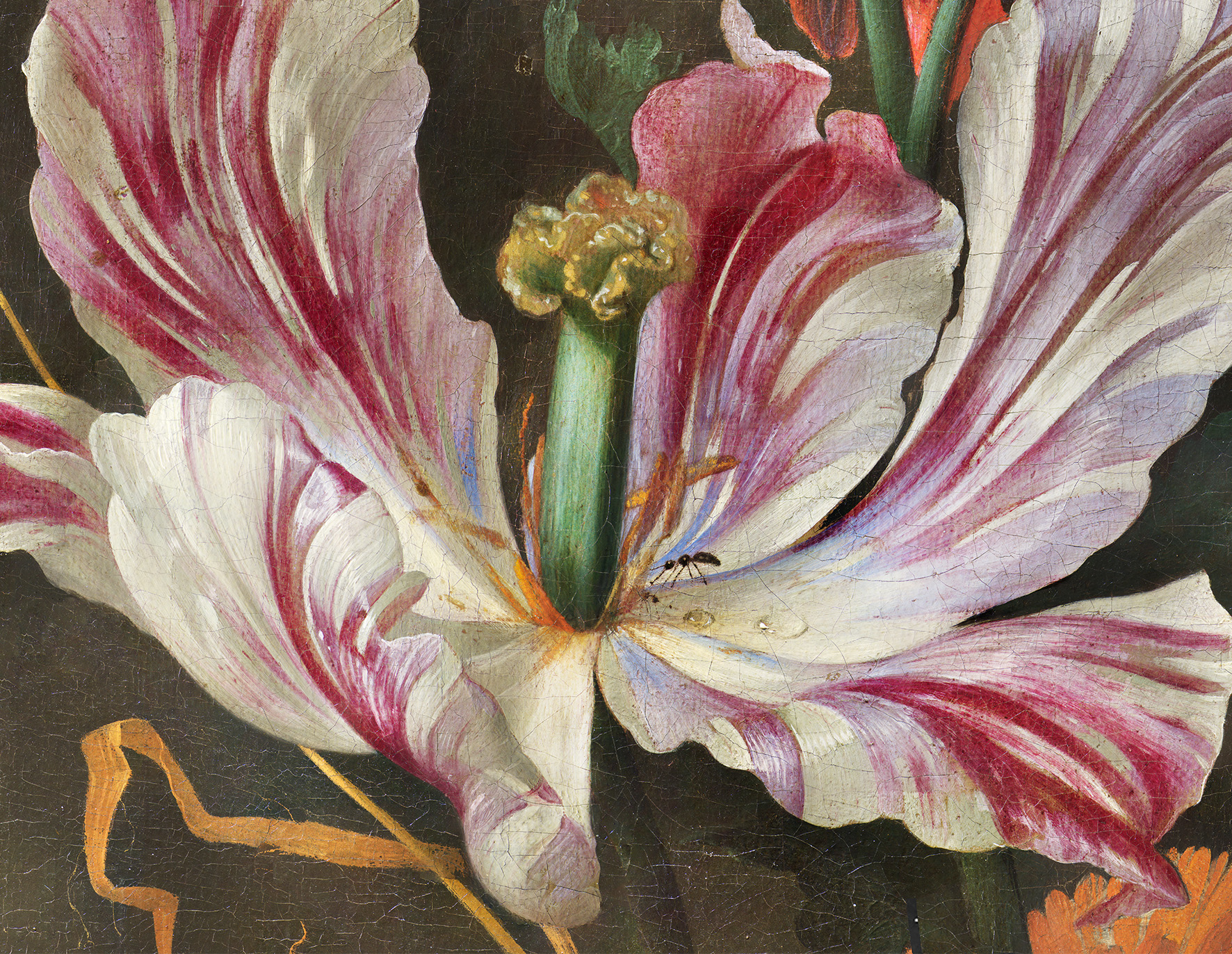 Mikroskopische Aufnahme eines Details des Gemäldes „Blumenstillleben“ von Jan Davidsz. de Heem,
um 1655, Innsbruck, (Foto: Tiroler Landesmuseen,
Cristina Thieme)