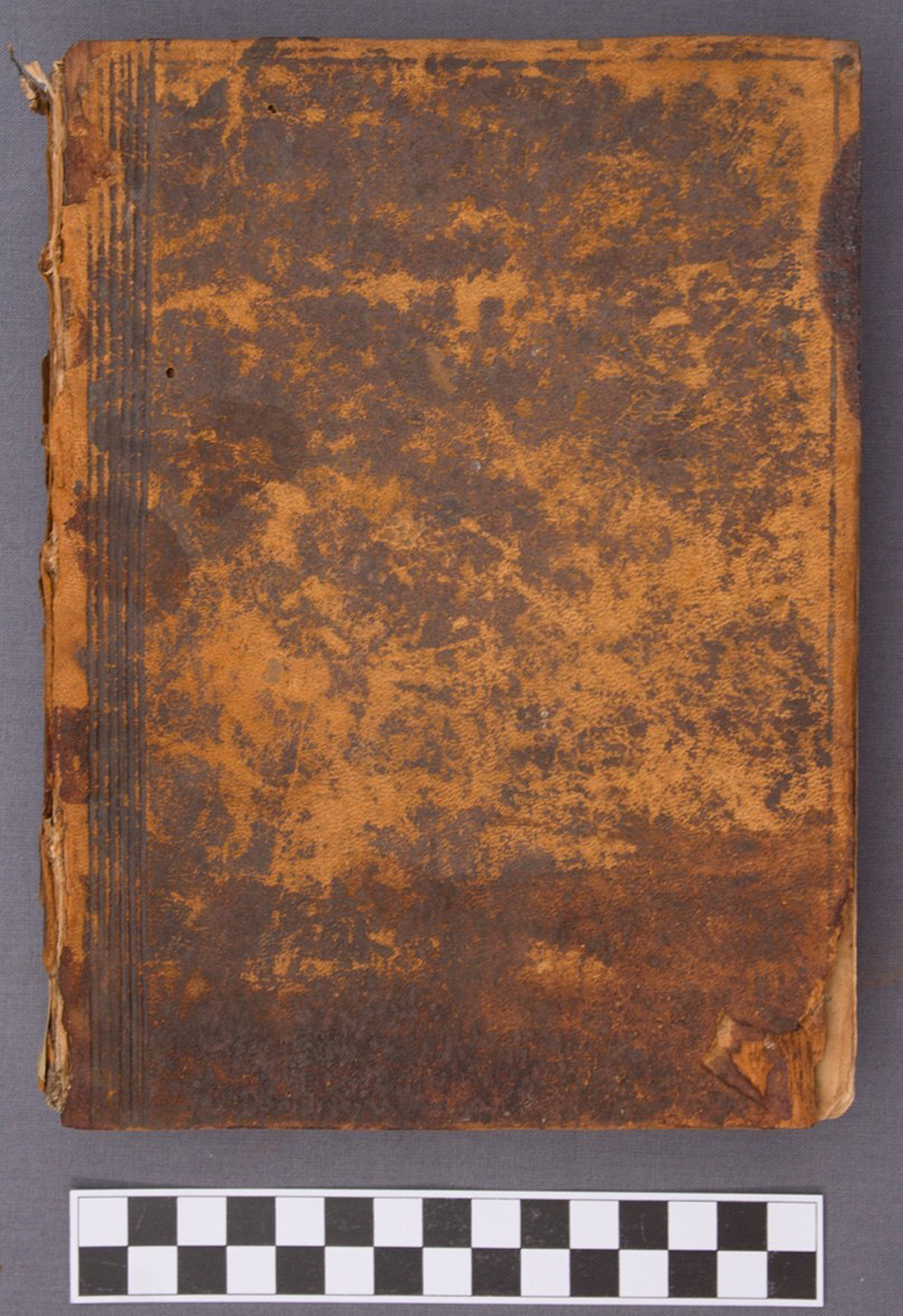 newsimage397052 Leder ist ein sehr widerstandsfähiges Material, das schon seit dem frühen Mittelalter als Einband für Bücher verwendet wird. | Copyright: Lilian Samland / TH Köln