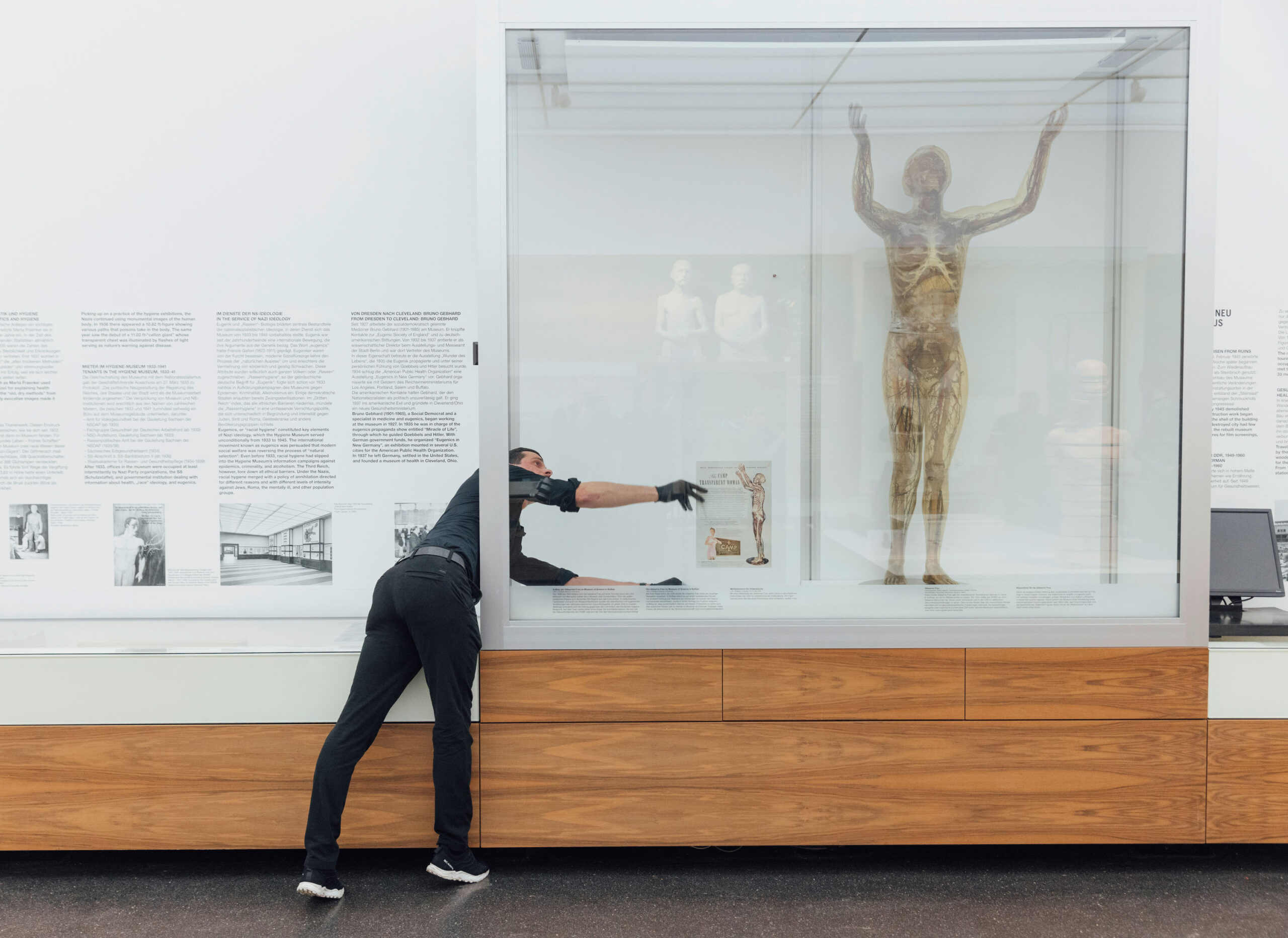 Die Glaeserne Frau kehrt nach Restaurierung am 01.12.2025 in ihre Vitrine in Deutsches Hygiene-Museum  in Dresden zurueck . Foto: Oliver Killig