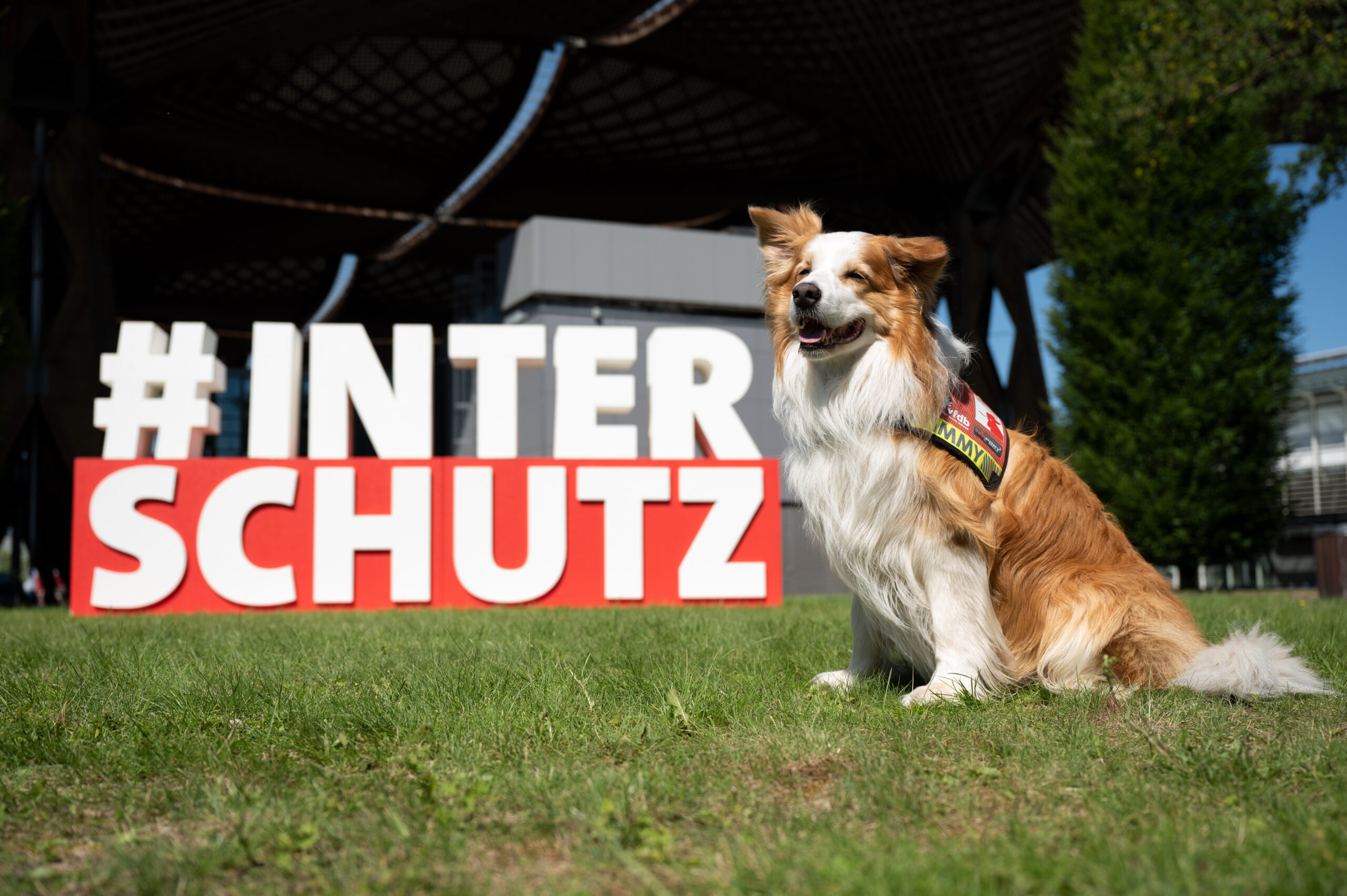 Die INTERSCHUTZ nennt sich auch Messe der Held:innen. Im Bild Maskottchen Timmy (Foto: Interschutz 2022)