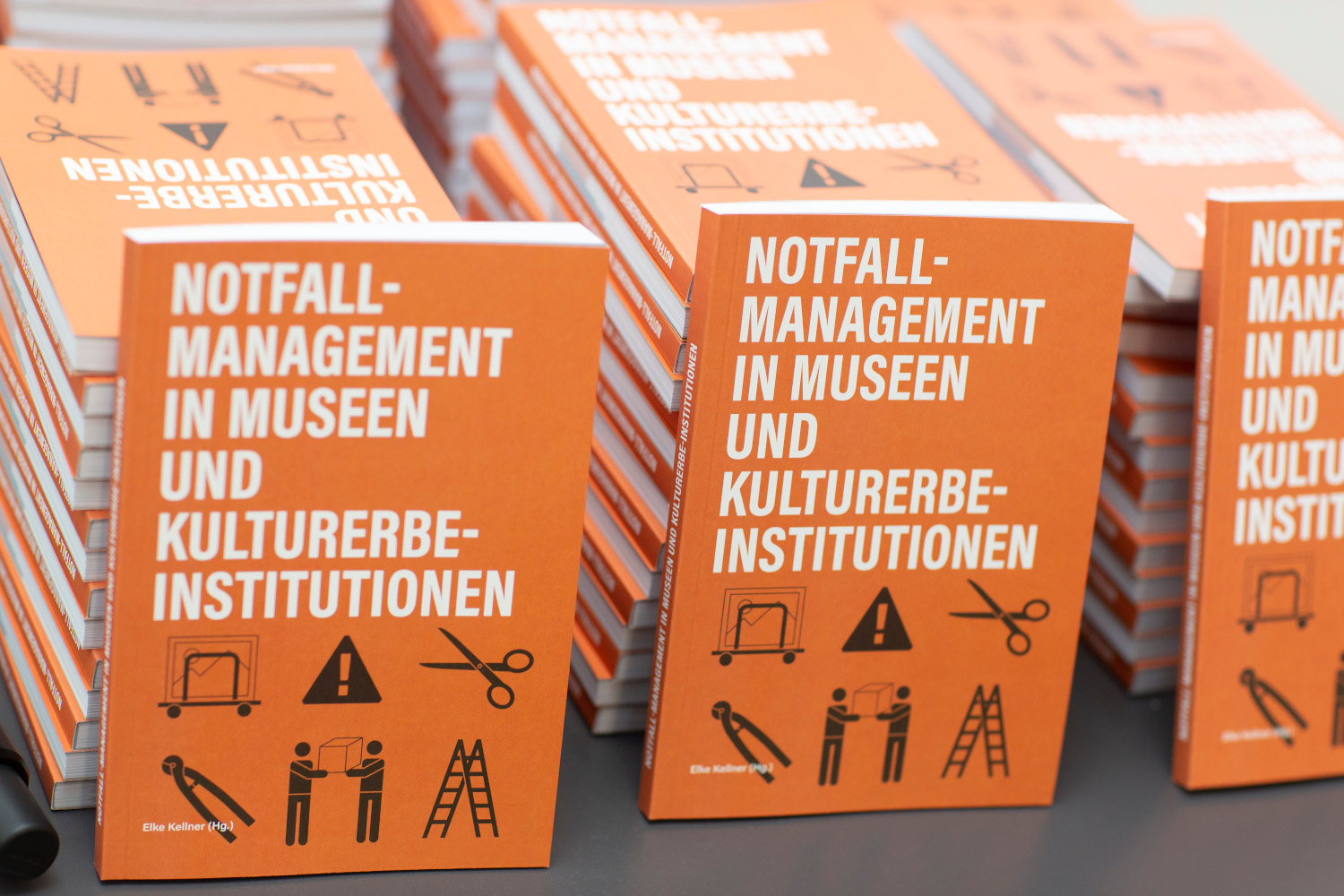 Abbildung der Publikation