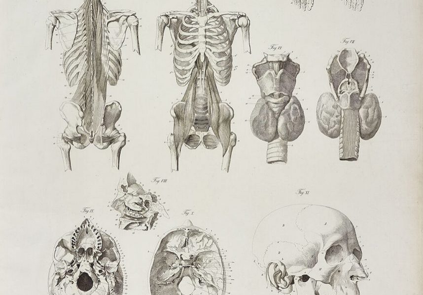 Burkhard Wilhelm Seiler 1850; HfBK Dresden Archiv