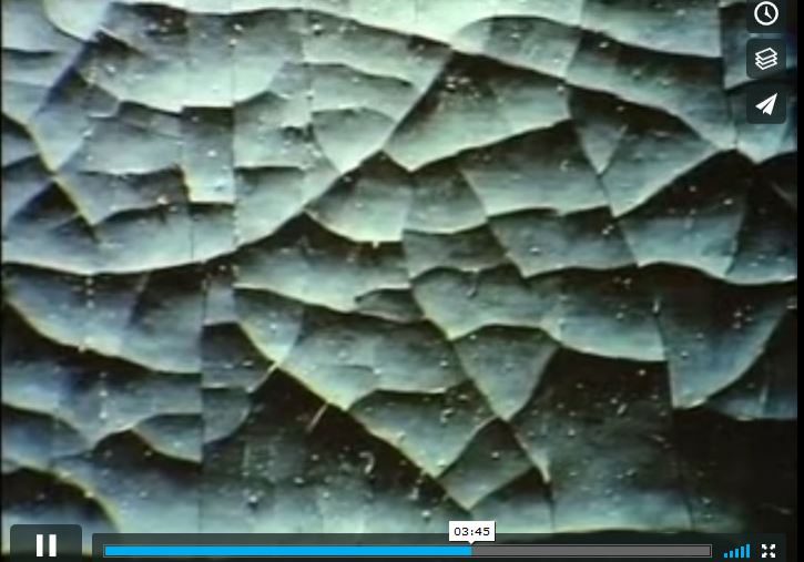 VomAtmenderBilder_Video VomAtmenderBilder_Video